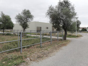 mediterranean center for disease control, studio pintus tempio pausania, mcdc sassari